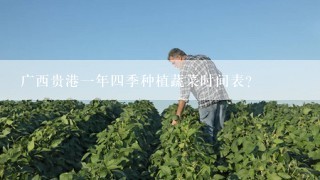 广西贵港一年四季种植蔬菜时间表？