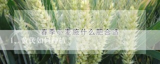 黄芪如何种植