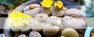 建筑工地食堂，10元一餐，1荤、1半荤、1素，2组菜，