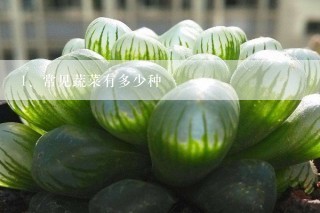 常见蔬菜有多少种