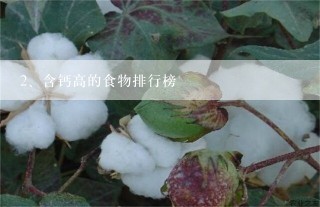 含钙高的食物排行榜