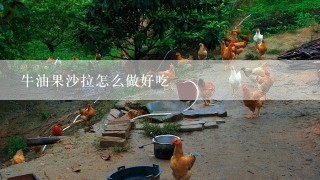 牛油果沙拉怎么做好吃