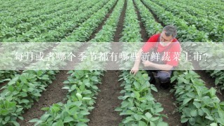 每月或者哪个季节都有哪些新鲜蔬菜上市？