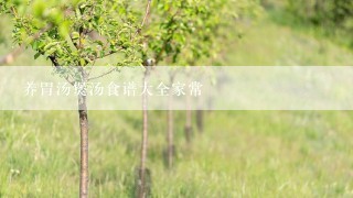 养胃汤煲汤食谱大全家常