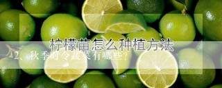 秋季时令蔬菜有哪些?