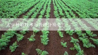 大豆种植技术与管理分别是？