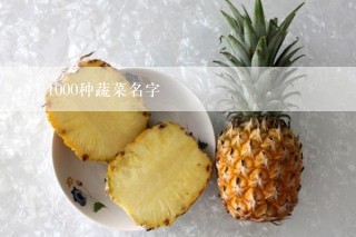 1000种蔬菜名字