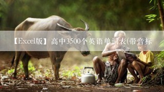 【Excel版】高中3500个英语单词表(带音标