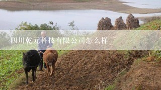 四川乾元科技有限公司怎么样