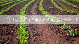 长沙红星蔬菜批发市场离湖南中医大学第一附属医院多少公里