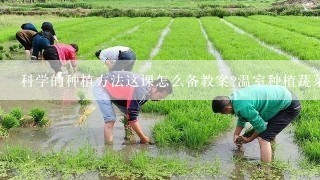 科学的种植方法这课怎么备教案?温室种植蔬菜和无土栽培和立体栽培和高产杂交水稻
