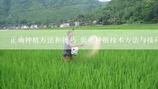 正确种植方法和技巧 农业种植技术方法与技巧