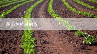 蔬菜种植时间表
