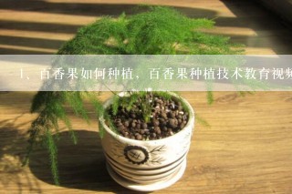 百香果如何种植，百香果种植技术教育视频