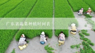 广东省蔬菜种植时间表