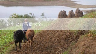 养生食疗菜谱大全