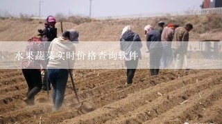 水果蔬菜实时价格查询软件