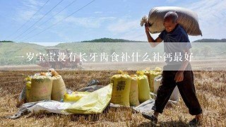 一岁宝宝没有长牙齿食补什么补钙最好