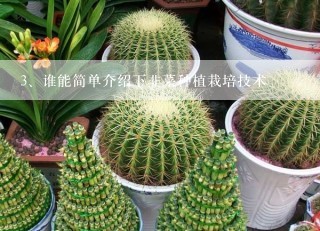 谁能简单介绍下韭菜种植栽培技术