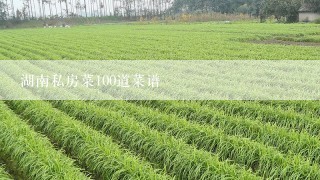 湖南私房菜100道菜谱