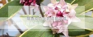 如何根治高血压