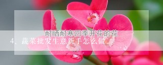 蔬菜批发生意新手怎么做