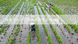 邯郸有几个大型蔬菜批发市场地址