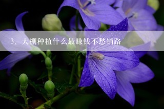 大棚种植什么最赚钱不愁销路