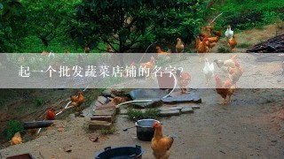 起一个批发蔬菜店铺的名字？