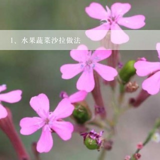 水果蔬菜沙拉做法