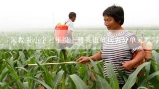 闽教版小学三年级上册英语单词表分单元默写强化练习复习测试