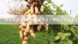 陕西省蔬菜盛产基地在哪里？哪里的蔬菜批发价最便宜？