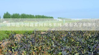 谁知道中国蔬菜网和水果网,要有名字和图片，最好有价格?谢谢