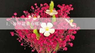 各种蔬菜有哪些