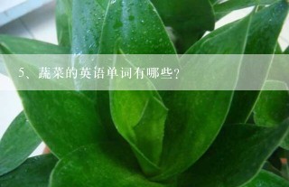 蔬菜的英语单词有哪些?