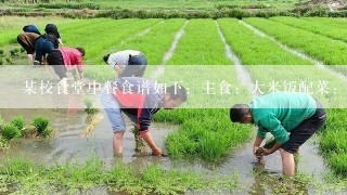 某校食堂中餐食谱如下：主食：大米饭配菜：红烧排骨 煎鸡蛋 炸鸡腿 豆腐汤 炒猪肝主食和配菜中主要含