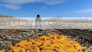 广东四季时令蔬菜有哪些？