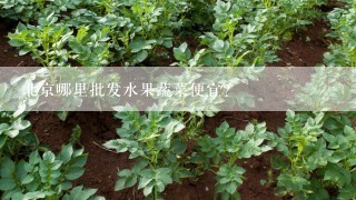 北京哪里批发水果蔬菜便宜?