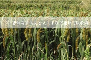 想做蔬菜批发怎么入手以下建议可以收藏