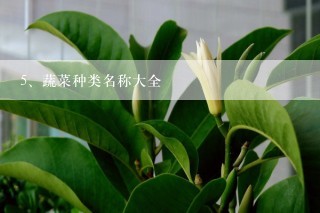 蔬菜种类名称大全