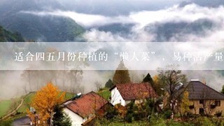 适合四五月份种植的“懒人菜”，易种活产量还高的有哪些？