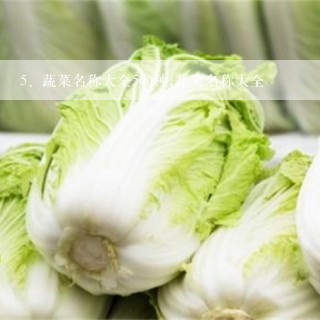 蔬菜名称大全500种,蔬菜名称大全