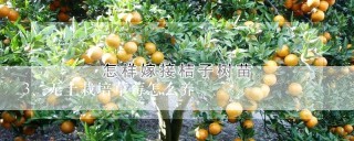 无土栽培草莓怎么养