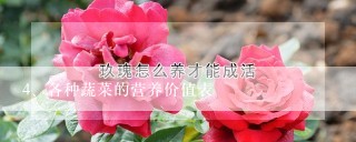 各种蔬菜的营养价值表