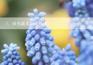 绿色蔬菜如何种植？