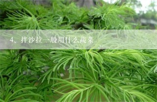 拌沙拉一般用什么蔬菜