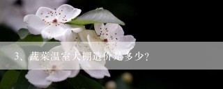 蔬菜温室大棚造价是多少？