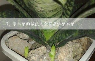 家常菜的做法大全家常炒菜素菜