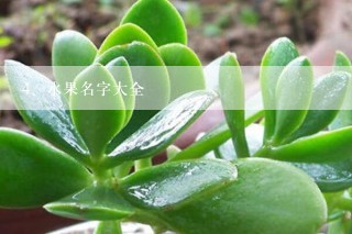 水果名字大全