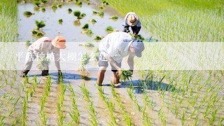 平菇种植大棚怎么建